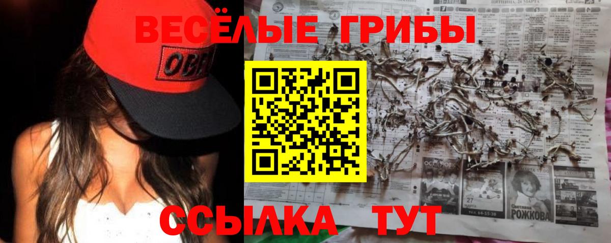 Свободный  Галлюциногенные грибы прущие грибы  Галлюциногенные грибы ЛСД  Вход с VPN 